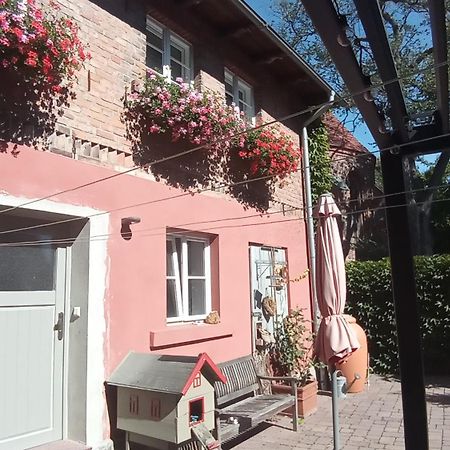 Ferienhaus In Der Historischen Altstadt Von Angermuende Angermunde Ngoại thất bức ảnh