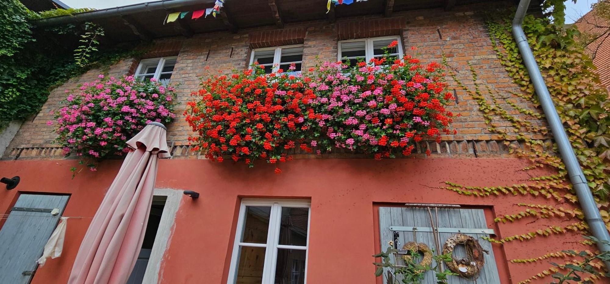 Ferienhaus In Der Historischen Altstadt Von Angermuende Angermunde Ngoại thất bức ảnh